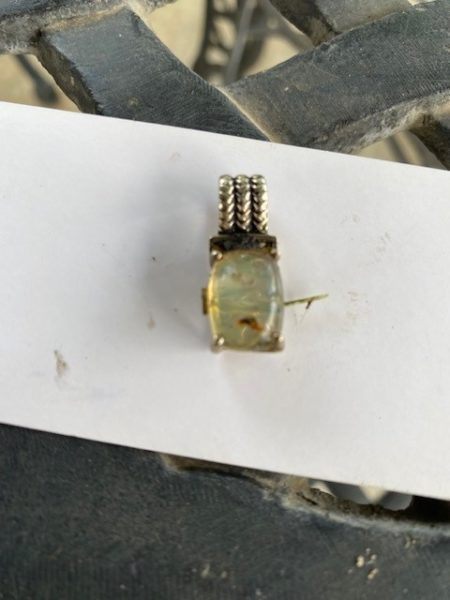 Special Friendship Pendant Lost in a Houston, Texas