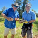 20220927_6766a_15e45-600x450